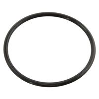 O-ring 10258