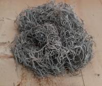 Tillandsia Tilandsia mos in bakje/zakje circa 1 liter Warentuin Natuurlijk - Warentuin natuurlijk