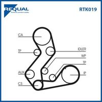 Requal Distributieriem kit RTK019 - thumbnail