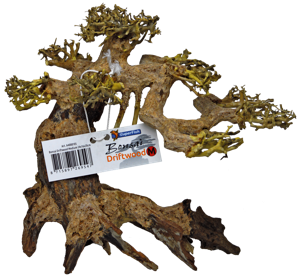 Superfish Bonsai Driftwood M - Natuurlijke Aquarium Decoratie Medium, Zen Ontwerp