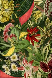 Moooi Carpets - Vloerkleed Herbarium of Extincts Plants Rectangle Low Pile - 200x300 cm