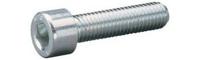 Bofix Bout inbus m8x30 rvs (p12)