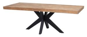 DTP Home Eettafel Newton Teakhout - Bruin, Zwart