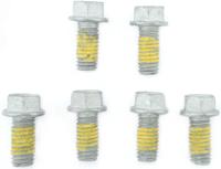 TRW bouten-set screw set 6pcs. m6x1