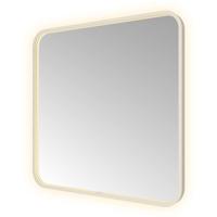 Hotbath &MORE Spiegel direct en indirect LED spiegelverwarming color changing dimbaar met afstandsbediening RVS 316 SSQ80IX
