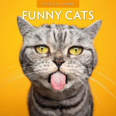 Funny Cats Kalender 2026