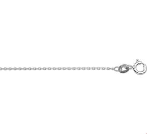 TFT Collier Witgoud Anker Geslepen 1,1 mm x 41-45 cm