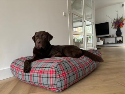 Dog's Companion® Hondenbed scottish grey small