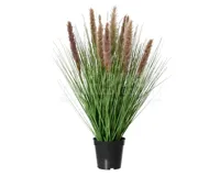 Kunstplant Siergras Bruin 68cm