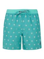 Protest PRTParco Zwembroek Heren Wave Green S