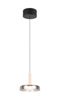 Trio Led hanglampCeleste Ø 22cm - smoke glas - 354910132