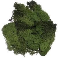 Decoratie nep mos - groen - 50 gram - Hobby/knutselen - herfst/kerst thema decoreren