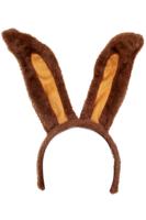 Hoofddiadeem konijnenoren