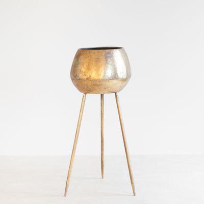 Venetië Goud - P17/P19