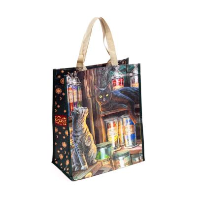 Lisa Parker Magical Emporium Cat Duurzame Shopper Tas