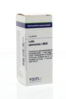 VSM Luffa operculata LM30 4 Gram