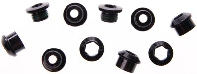 TRUVATIV Chain ring screw 1sp eagle e-mtb steel