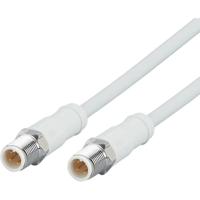 ifm Electronic EVF534 Verbindingskabel Aantal polen (sensoren): 4 Stekker, recht 20 m 1 stuk(s)