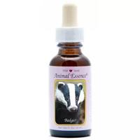 Animal Essences Badger (das) 30 Milliliter