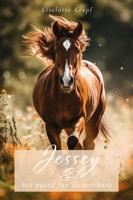 Jessey en het paard van de overkant (Paperback)