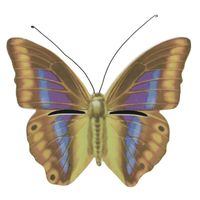 Bruin/geel vlinder insectenhotel 20 cm