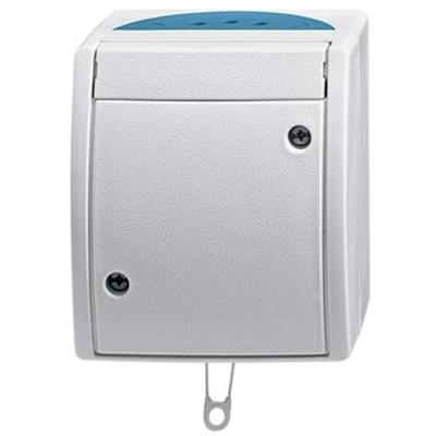 ABB 2CKA001383A0141 Schakelaar IP44 Grijs-wit (RAL 7035), Blauw-groen