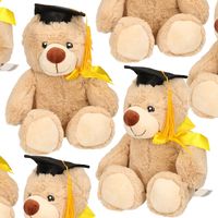 Pakket van 12x stuks geslaagd thema cadeau pluche knuffel beertjes beige 20 cm