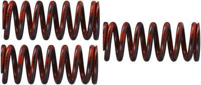 TRW koppelingsveren set clutch spring kit mef324-3