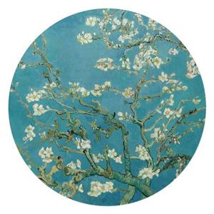 Reinders - Van Gogh Almondblossom - Glasschilderij Ø 70cm