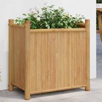 VidaXL Plantenbak 50x30x50 cm bamboe