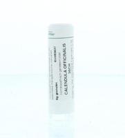 Homeoden Heel Calendula officinalis 30CH 6 Gram