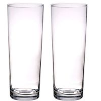 2x stuks rechte cilinder vaas/vazen glas 24 cm