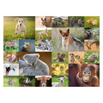 Ravensburger puzzel schattige babydieren, 200st. xxl