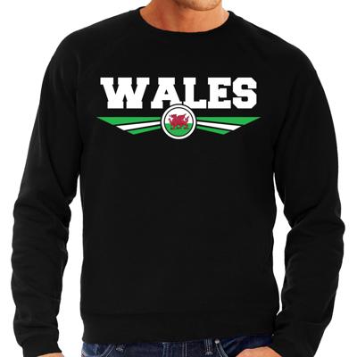 Wales land thema sweater - met vlag kleuren - zwart - heren - Supporters trui - lange mouwen