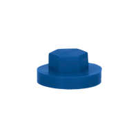 pgb-Europe PGB-FASTENERS | Afdekkap zeskant SW 3/8" (19mm) R5017 0AFD06N00001950174