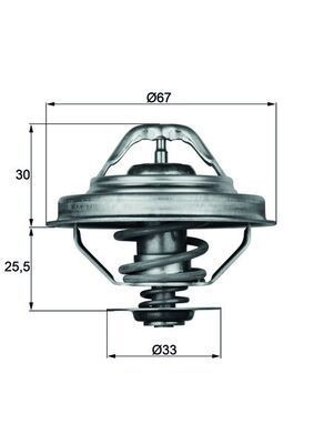 Thermostaat, koelvloeistof TX2892D
