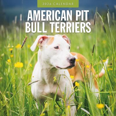American Pit Bull Terrier Kalender 2026