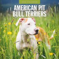 American Pit Bull Terrier Kalender 2026