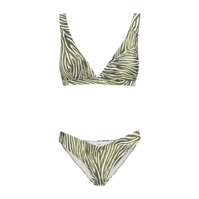 Shiwi Amy Bikini Set Zanzibar Zebra