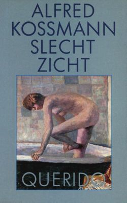 Slecht zicht - Alfred Kossmann - ebook