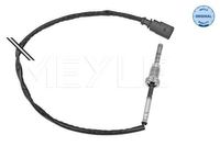 Sensor, uitlaatgastemperatuur 1148000196