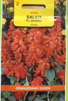 Salvia