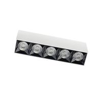Lyora Witte opbouwspotMidi Led 5x1 leds - 4000K - 10052