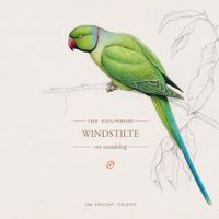 Windstilte - thumbnail