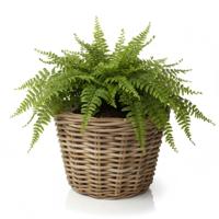VD Leeden Plantenmand Klassiek - rond - bruin - 29 x 20 cm - rotan - gevlochten riet - bloemenmand