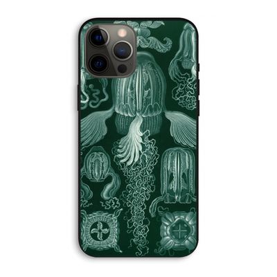 Haeckel Cubomedusae: iPhone 12 Pro Max Biologisch afbreekbaar hoesje
