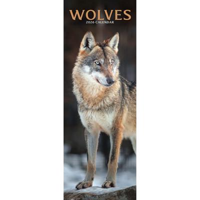 Wolven Kalender 2026 Slimline