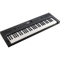 Roland GO:KEYS 5 GT keyboard grijs - thumbnail