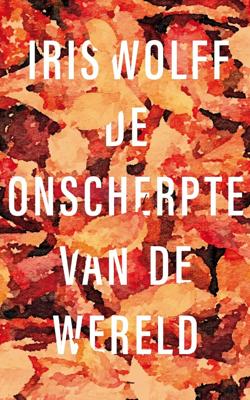 De onscherpte van de wereld (Hardback)