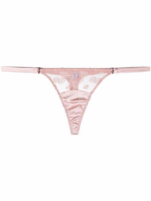 Fleur Of England string Valentina - Rose